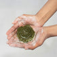 Clear Aura – Herbal Clarifying Soap