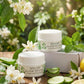Anelia Herbs Glow Revive – Herbal Brightening Cream